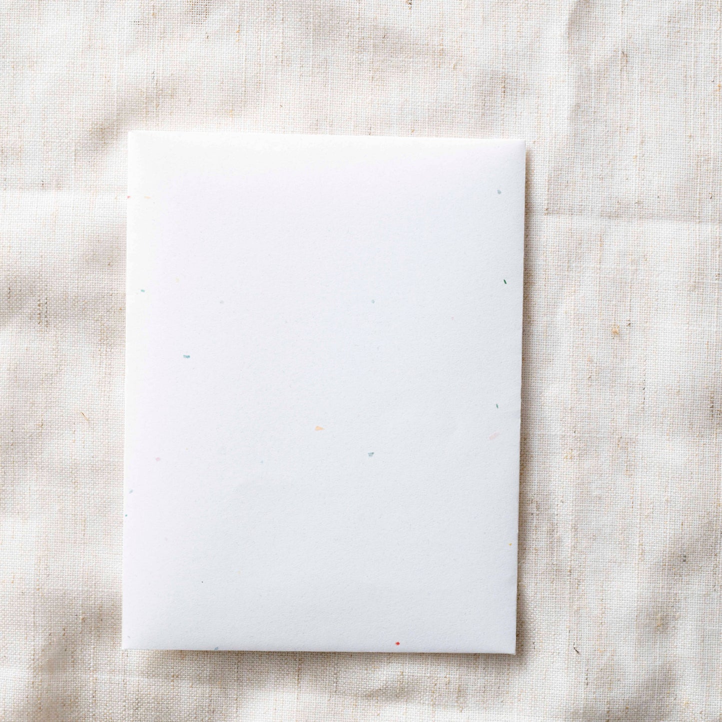 Joyeux Noël | Foil French Christmas Holiday Card