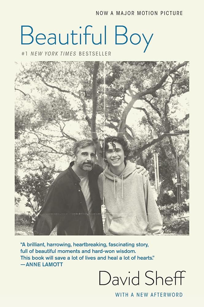 Beautiful Boy (tie-In): A Father's Journey Through His Son's Addiction cover image